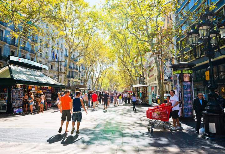 Détente et plaisir pendant vos balades touristiques régionales.