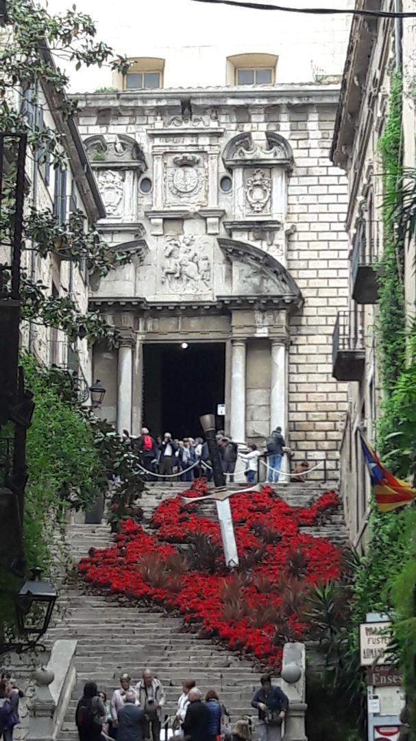 Exposition florale serre Perpignan