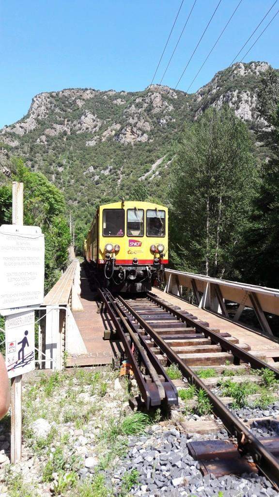 Végétation route Perpignan