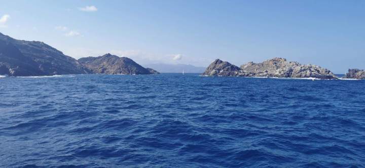 les Cap Creus Perpignan